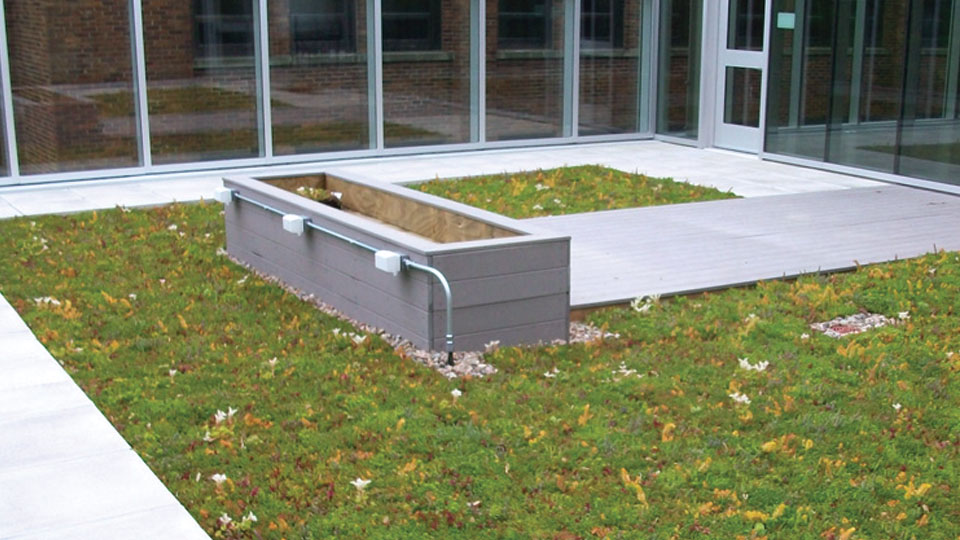  LIVING/GREEN ROOFS